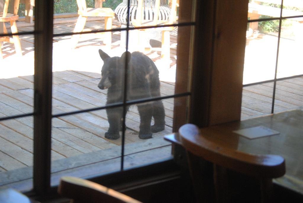 Medicine Bow Lodge Tenmile Luaran gambar