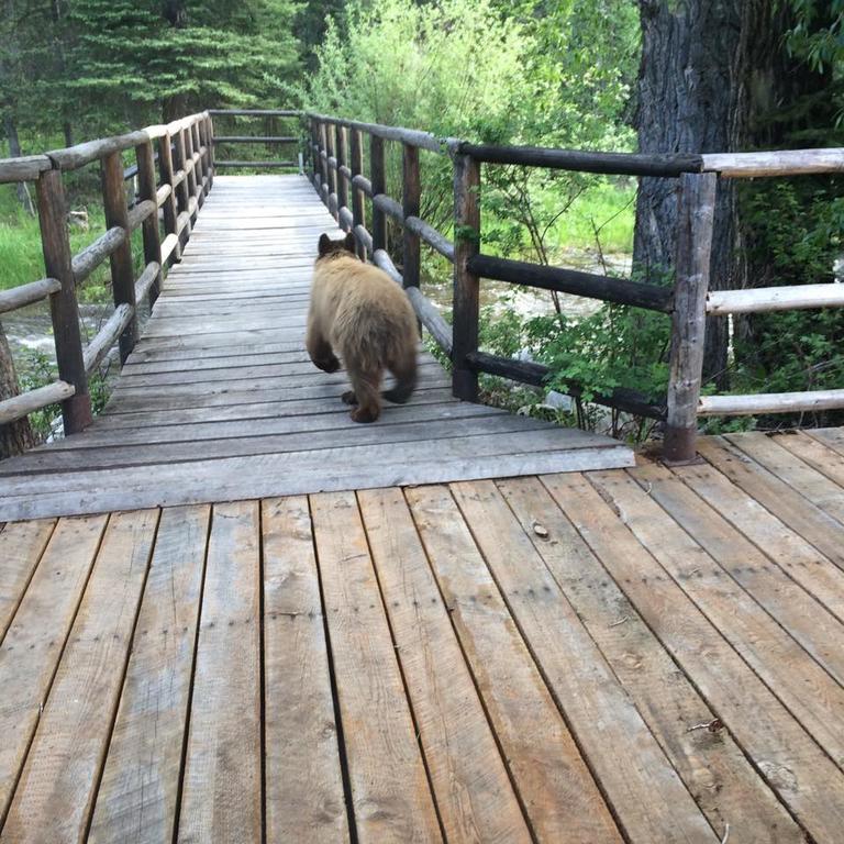 Medicine Bow Lodge Tenmile Luaran gambar